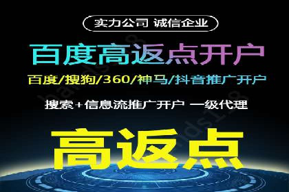 竞价托管策略调整：一则快速提升排名的案例
